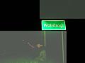 HPIM1465 700x525 - (34295 bytes)