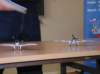 p1010036_small.jpg