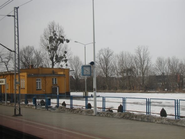 photo11.jpg
