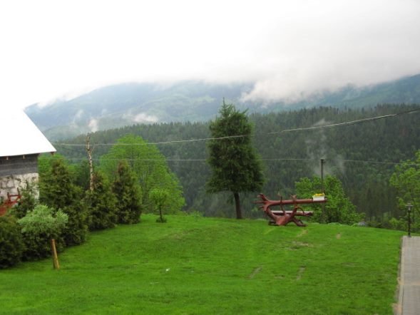 photo11.jpg