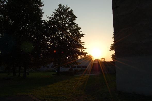 photo6.jpg