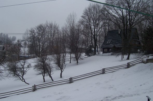 photo4.jpg