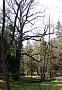 25 594x853 - (316586 bytes)