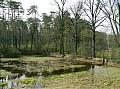 335 853x639 - (247499 bytes)