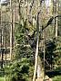 37 639x853 - (387789 bytes)