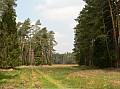 427247 853x639 - (168775 bytes)