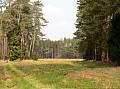 4643643 853x639 - (187614 bytes)