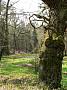 586584 639x853 - (235433 bytes)