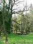 787679 639x853 - (259004 bytes)