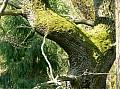 80798 853x639 - (224602 bytes)
