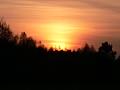 P1000396 1024x768 - (88704 bytes)