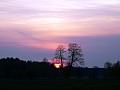 P1000425 1024x768 - (103523 bytes)