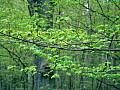P1000710 1024x768 - (302077 bytes)