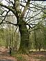 P1000750 576x768 - (281604 bytes)