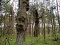 P1010054_1 1024x768 - (475721 bytes)