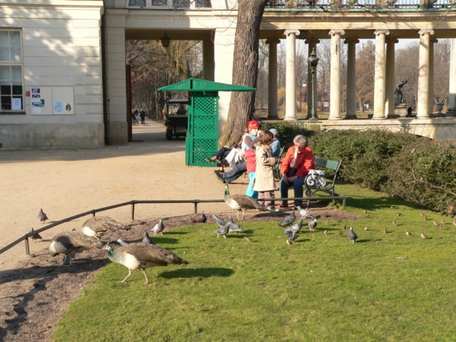 p1190141.jpg