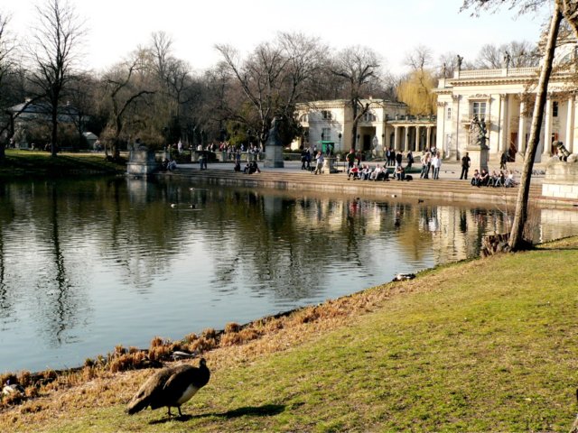 p1190157.jpg