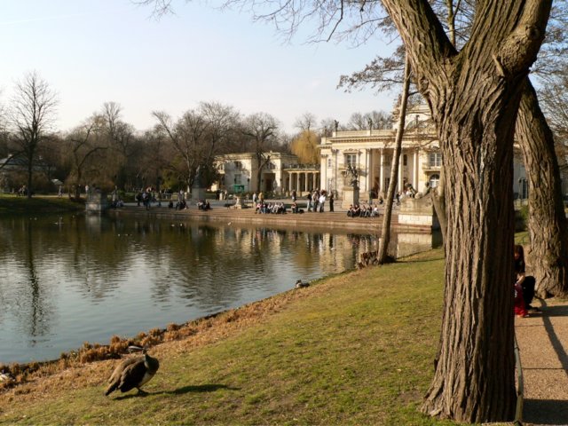 p1190160.jpg